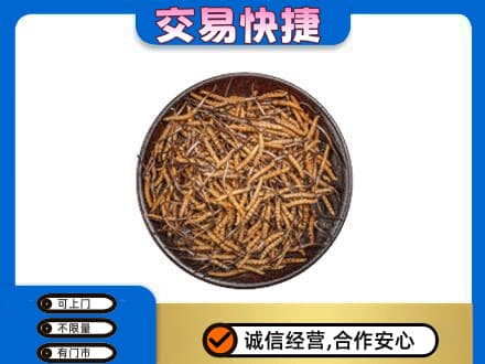 汇川区回收散虫草